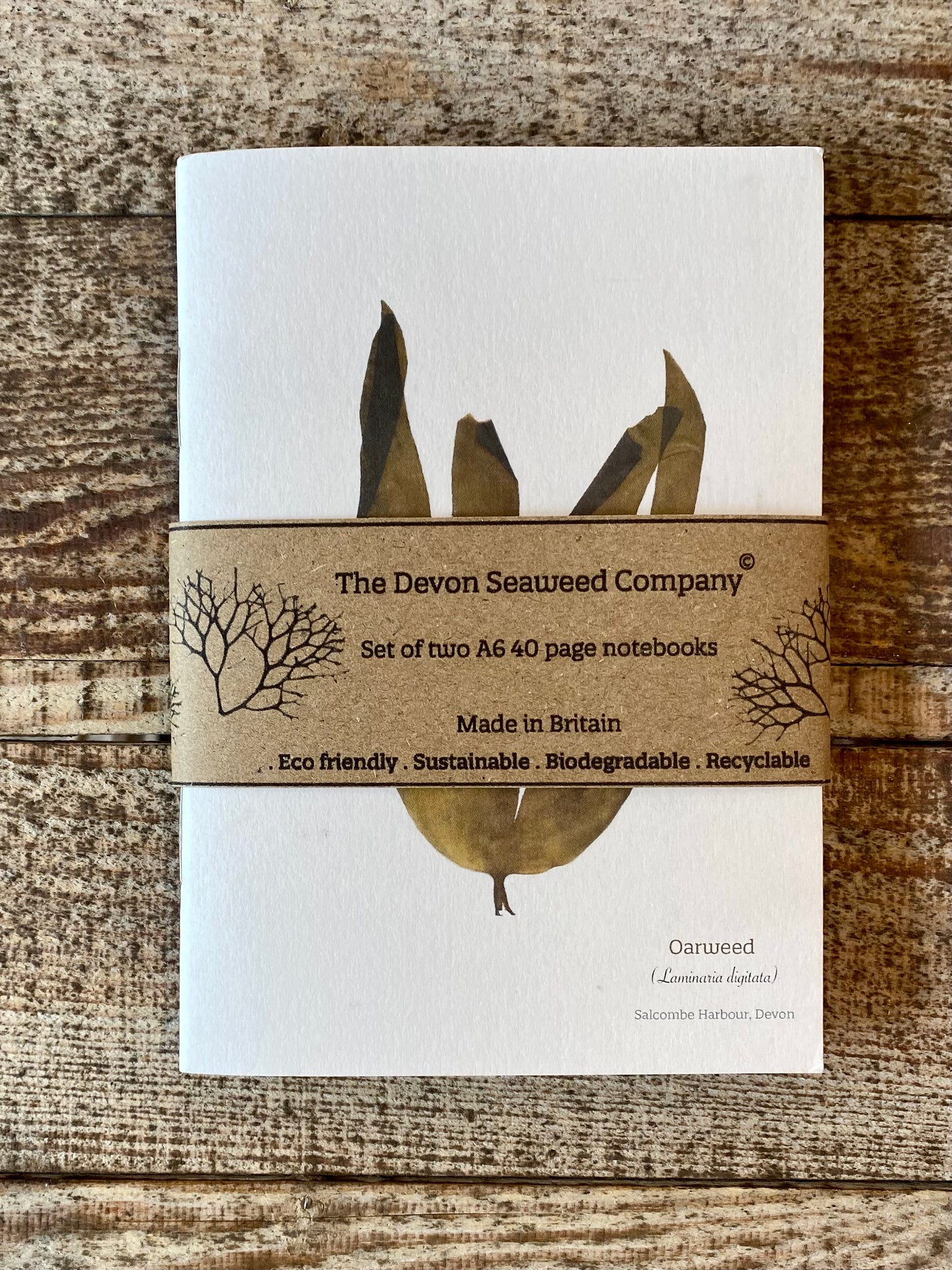 A6 Plain Notebooks - Oarweed