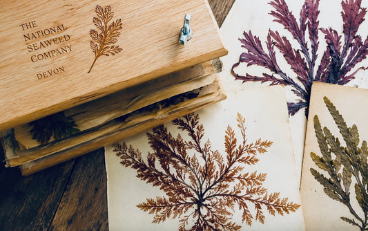 Seaweed Pressing Workshop Gift Voucher