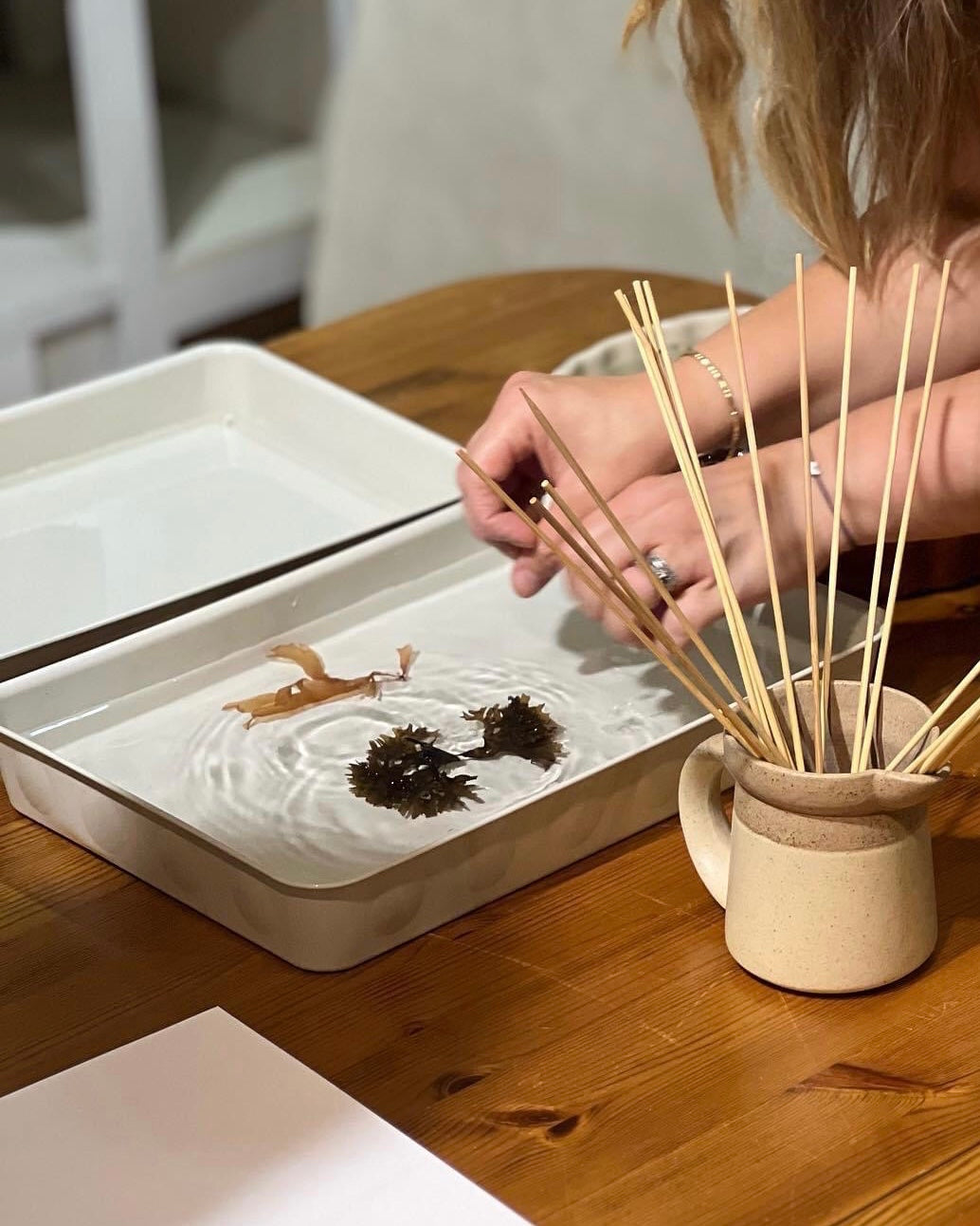 Seaweed Pressing Workshop Sunday 9th August 2.30pm-4.30pm
