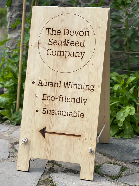 Seaweed Pressing Workshop Saturday 28th March 6pm - 8pm