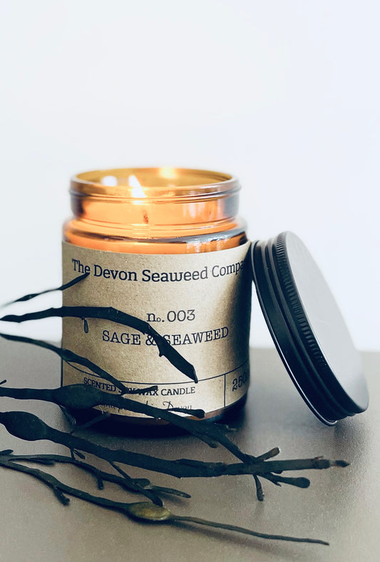 Sage & Seaweed Hand poured Soy Candle
